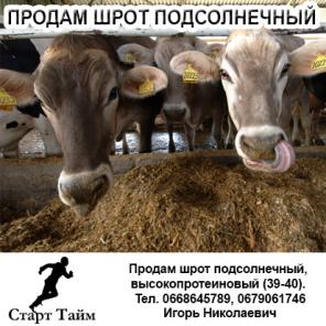 Продам шрот подсолнечный, высокопротеиновый (39-40).