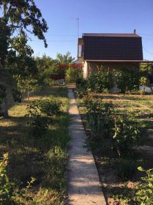 Продам дачу в Курахово,с.Берестки