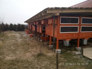 Кроликохозяйства.