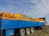 .Куплю яблоки на сок.