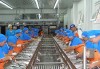 .Работа на рыбоконсервном заводе (Крым).