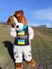 .Пес Патрон на День народження - незвичайний подарунок для вашої дитини.