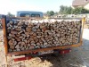 .Дрова Одесса с доставкой - дуб, граб, акация, сосна, береза.